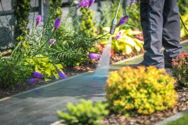 Best Gutter Cleaning  in Shadybrook, TX