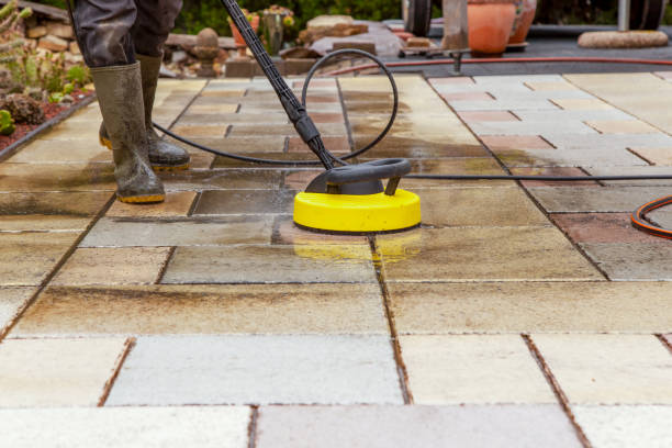 Best Dumpster Area Cleaning  in Shadybrook, TX